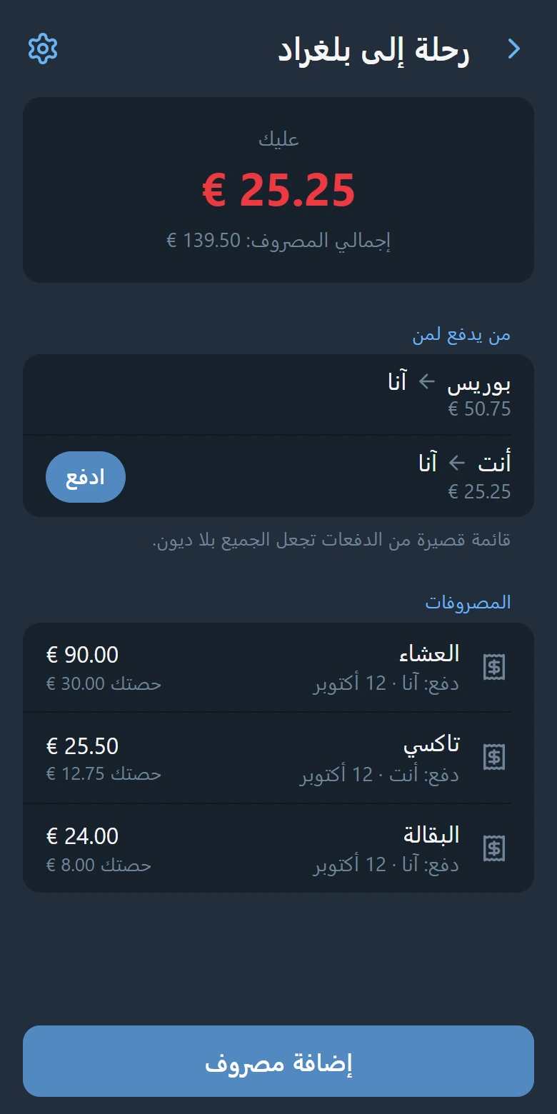 شاشة المجموعة: رصيدك، من يدفع لمن مع زر «ادفع»، وقائمة المصروفات