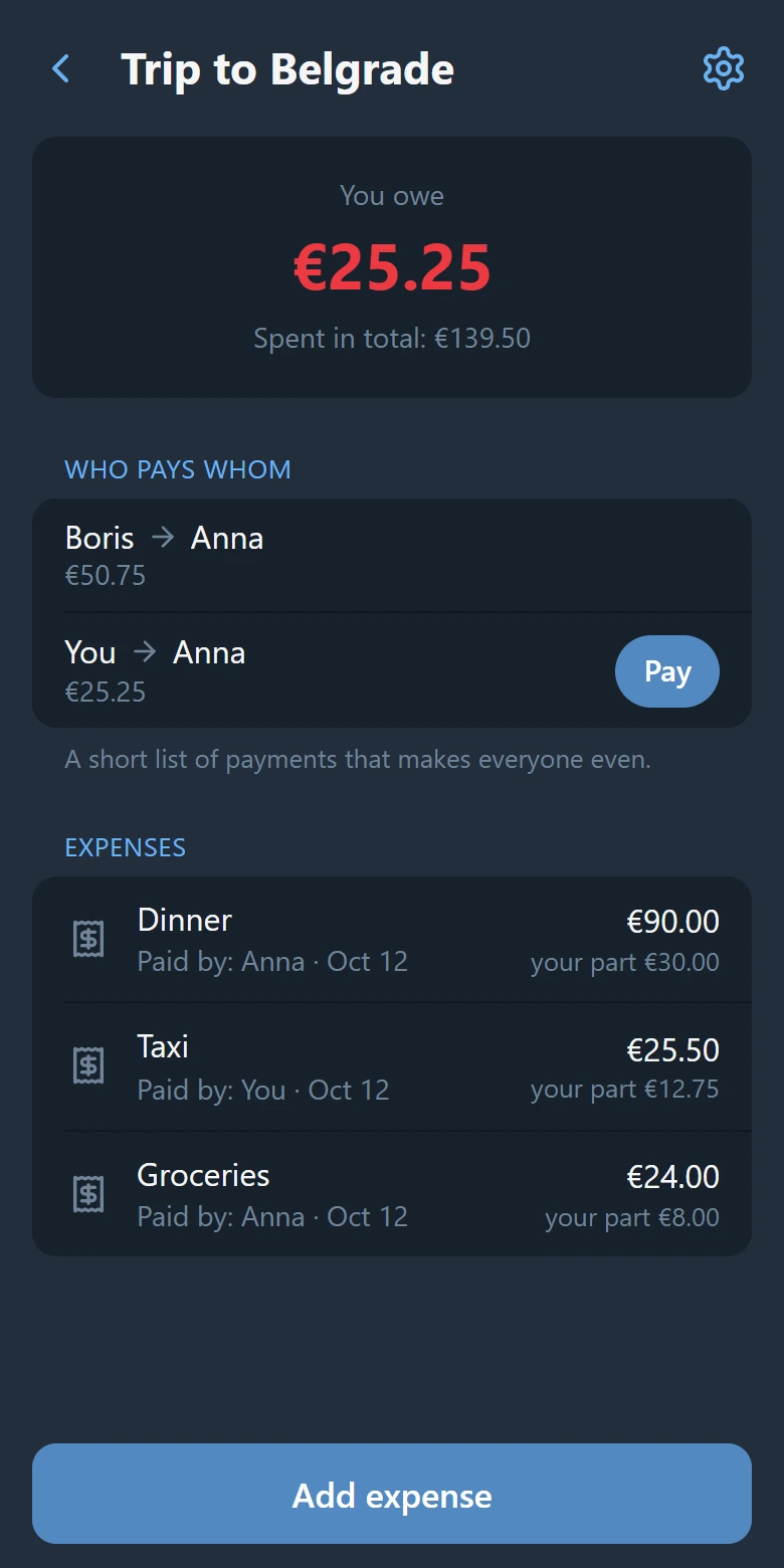 The group screen: your balance, who pays whom, and the expenses